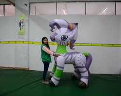 Size: 1185x938 | Tagged: safe, zecora, crystal pony, human, pony, zebra, bootleg, crystallized, hongyi, inflatable, irl, irl human, laurel wreath, photo