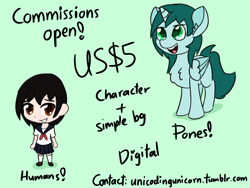 Size: 1600x1200 | Tagged: safe, artist:unicodingunicorn, derpibooru import, human, pony, commission info, simple background