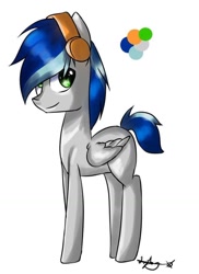 Size: 764x1051 | Tagged: safe, oc, oc only, oc:silver streak, ponysona, reference sheet, solo