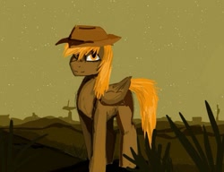 Size: 931x715 | Tagged: safe, artist:ognifireheart, derpibooru import, oc, oc only, oc:calamity, pegasus, pony, fallout equestria, cowboy hat, dashite, fanfic, fanfic art, hat, hooves, male, night, solo, stallion, stars, stetson, wings