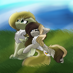 Size: 2560x2560 | Tagged: safe, artist:brokensilence, derpibooru import, oc, oc:auctor, oc:misty serenity, pegasus, pony, chest fluff, couple, female, male, mistor, shipping, straight