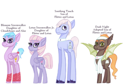 Size: 1024x683 | Tagged: safe, artist:magicandmysterygal, derpibooru import, oc, oc only, oc:blossom stormwalker, oc:dusk night, oc:lotus stormwalker jr, oc:soothing touch, bat pony, earth pony, pegasus, pony, adopted, adopted offspring, description is relevant, female, hoof wraps, magical lesbian spawn, male, mare, offspring, parent:aloe, parent:cloudchaser, parent:flitter, parent:lotus blossom, simple background, stallion, story in the source, story included, tail wrap, towel, transparent background, unshorn fetlocks