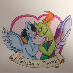 Size: 2448x2448 | Tagged: safe, artist:critter_customs, derpibooru import, thorax, oc, oc:medwing, changedling, changeling, pegasus, pony, canon x oc, chest fluff, freckles, gay, glasses, interspecies, king thorax, male, medax, rainbow hair, shipping, traditional art