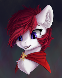 Size: 1686x2122 | Tagged: safe, artist:rokufuro, derpibooru import, oc, oc only, bust, cape, chest fluff, clothes, portrait, smiling, solo, ych result