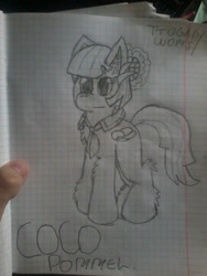 Size: 1200x1600 | Tagged: safe, artist:terminalhash, derpibooru import, coco pommel, graph paper, sketch, solo, traditional art