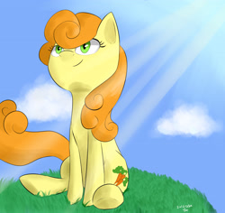 Size: 3600x3400 | Tagged: safe, artist:passigcamel, carrot top, golden harvest, pony, sitting, smiling, solo