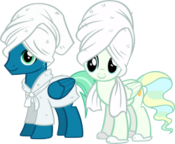 Size: 5506x4528 | Tagged: safe, artist:ironm17, sky stinger, vapor trail, pony, absurd resolution, bathrobe, clothes, duo, simple background, slippers, smiling, towel, transparent background, vector