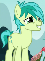 Size: 500x672 | Tagged: safe, derpibooru import, screencap, ocellus, sandbar, changedling, changeling, earth pony, pony, school daze, cropped, solo focus