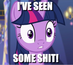 Size: 860x768 | Tagged: safe, edit, edited screencap, screencap, twilight sparkle, twilight sparkle (alicorn), alicorn, pony, a flurry of emotions, cropped, i've seen some shit, image macro, meme, solo, text, thousand yard stare, vulgar