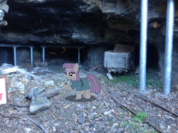 Size: 1024x765 | Tagged: safe, artist:didgereethebrony, derpibooru import, boulder (pet), maud pie, blue mountains, coal, didgeree collection, dusty, katoomba, mine, mlp in australia, solo