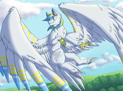 Size: 4482x3300 | Tagged: safe, artist:cr0wskull, derpibooru import, oc, oc only, oc:cirrus sky, hippogriff, cloud, cutie mark, looking back, sky, smiling, solo, spread wings, wings