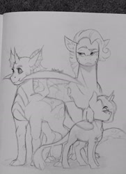 Size: 1869x2576 | Tagged: safe, artist:lxxjunebugxxl, oc, oc only, oc:jade, oc:milkweed, oc:nightshade, dracony, hybrid, interspecies offspring, magical gay spawn, monochrome, offspring, parent:fluttershy, parent:spike, parent:thorax, parents:flutterspike, parents:thoraxshy, parents:thoraxspike