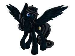 Size: 4000x3000 | Tagged: safe, artist:klarapl, derpibooru import, oc, oc:sable, alicorn, commission, male, simple background, smiling, solo, spread wings, stallion, transparent background, wings