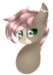 Size: 1279x1795 | Tagged: safe, artist:little-sketches, oc, oc only, oc:hawk, pony, bust, male, portrait, simple background, solo, stallion, transparent background