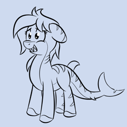 Size: 550x550 | Tagged: safe, artist:glimglam, oc, oc only, original species, shark, shark pony, fins, floppy ears, gills, grin, monochrome, nervous, nervous grin, smiling, solo, teeth, unnamed oc