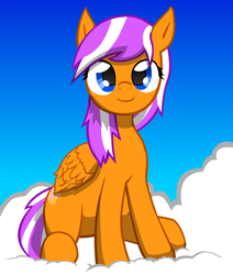 Size: 1506x1779 | Tagged: safe, artist:fluor1te, oc, oc only, oc:digidrop, pegasus, pony, cloud, sitting, sky, solo