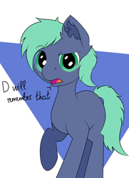 Size: 2660x3680 | Tagged: safe, artist:luriel maelstrom, derpibooru import, oc, oc only, oc:dee, abstract background, ear fluff, looking at you, raised eyebrow, simple background, text