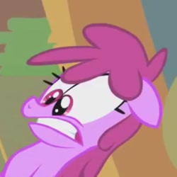 Size: 495x495 | Tagged: safe, screencap, berry punch, berryshine, pony, call of the cutie, cropped, reaction image, solo