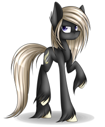 Size: 1600x1945 | Tagged: safe, artist:snowbunny0820, oc, oc only, oc:jack, earth pony, pony, male, raised hoof, simple background, solo, stallion, transparent background, unshorn fetlocks