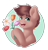 Size: 1908x2000 | Tagged: safe, artist:spirit-dude, derpibooru import, oc, oc only, earth pony, pony, flower, male, simple background, solo, stallion, transparent background