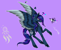 Size: 668x553 | Tagged: safe, artist:squeilaforest, oc, oc only, oc:squeila, reference sheet, simple background, solo