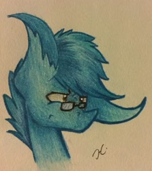 Size: 1024x1150 | Tagged: safe, artist:monochromepony625, oc, oc only, glasses, photo, solo, traditional art