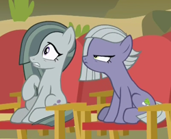 Size: 356x289 | Tagged: safe, screencap, limestone pie, marble pie, pony, rock solid friendship, cropped