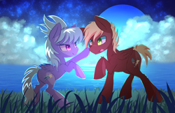 Size: 5950x3850 | Tagged: safe, artist:kawaiipony2, cloudchaser, oc, oc:neostrike, pegasus, pony, :p, absurd resolution, blush sticker, blushing, boop, canon x oc, cloud, colored pupils, commission, eye contact, female, fluffy, grass, lidded eyes, looking at each other, male, moon, neochaser, night, open mouth, raised hoof, rearing, shipping, sky, smiling, stallion, stars, straight, tongue out, water