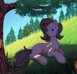 Size: 1895x1818 | Tagged: safe, artist:tentacless, derpibooru import, oc, oc only, earth pony, pony, female, forest, solo, tree, tree branch