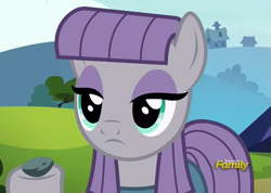 Size: 645x458 | Tagged: safe, screencap, boulder (pet), maud pie, pony, rock solid friendship, discovery family logo