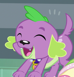 Size: 685x718 | Tagged: safe, derpibooru import, screencap, spike, spike the regular dog, dog, dance magic, equestria girls, spoiler:eqg specials, cropped, eyes closed, male, paws, puppy, smiling