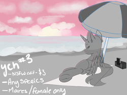 Size: 1400x1050 | Tagged: safe, artist:aurorafang, derpibooru import, pony, advertisement, any species, beach, commission, female, mare, summer, sunset, water, your character here