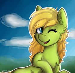 Size: 728x709 | Tagged: safe, artist:deraniel, derpibooru import, oc, oc only, earth pony, pony, cute, one eye closed, present, smiling, solo, wink