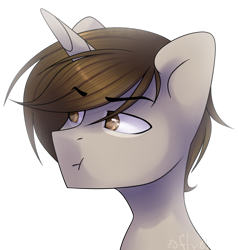 Size: 1024x1074 | Tagged: safe, artist:starlyflygallery, oc, oc only, pony, unicorn, :t, bust, male, portrait, simple background, solo, stallion, transparent background