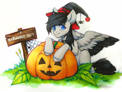 Size: 3309x2487 | Tagged: safe, artist:kottonashi, derpibooru import, oc, oc only, oc:lamika, pegasus, pony, commission, female, halloween, hat, holiday, jack-o-lantern, mare, paper, pumpkin, sign, signature, sitting, solo, spread wings, traditional art, wings, witch hat, ych result