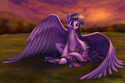 Size: 3211x2134 | Tagged: safe, artist:stratodraw, derpibooru import, spike, twilight sparkle, twilight sparkle (alicorn), alicorn, dragon, pony, belly button, female, grass field, high res, large wings, male, mare, scenery, spikelove, sunset, wings