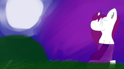 Size: 1920x1080 | Tagged: safe, artist:drewby, oc, oc only, oc:drewby, mod pony, moon, solo