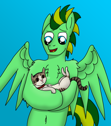 Size: 2864x3236 | Tagged: safe, artist:tacomytaco, derpibooru import, oc, oc only, oc:taco.m.tacoson, cat, pegasus, pony, belly button, chest fluff, gradient background, male, pet, solo