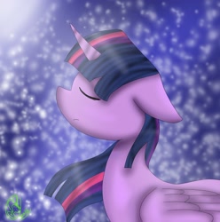 Size: 2332x2351 | Tagged: safe, artist:yoshiyoshi700, twilight sparkle, twilight sparkle (alicorn), alicorn, pony, eyes closed, night, night sky, solo