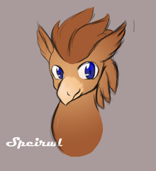 Size: 1200x1320 | Tagged: safe, artist:chaosknight, derpibooru import, oc, oc only, hippogriff, solo