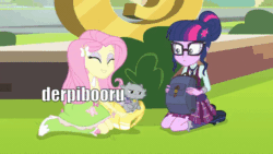 Size: 600x338 | Tagged: safe, edit, edited screencap, screencap, angel bunny, fluttershy, sci-twi, twilight sparkle, butterfly, cat, equestria girls, friendship games, ^:), animal, animated, backpack, blooper, boots, canterlot high, clothes, friendship games bloopers, gif, high heel boots, metaphor, metaphor gif, op is a duck (reaction image), reaction image, skirt, socks