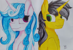 Size: 3357x2339 | Tagged: safe, artist:ilynalta, oc, oc only, oc:melodia, oc:novaintellus, pony, unicorn, bust, female, high res, mare, portrait, traditional art