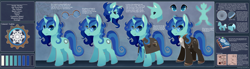 Size: 4000x1098 | Tagged: safe, artist:solar-paragon, derpibooru import, oc, oc only, pony, unicorn, female, ice craft, notebook, reference sheet, runes, unnamed oc