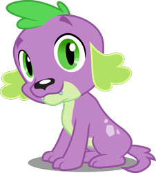 Size: 5000x5525 | Tagged: safe, artist:dashiesparkle, derpibooru import, edit, editor:slayerbvc, spike, dog, equestria girls, equestria girls (movie), absurd resolution, accessory-less edit, male, missing accessory, paws, simple background, solo, spike the dog, transparent background, vector, vector edit