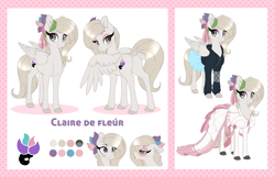 Size: 4184x2692 | Tagged: safe, artist:peridotkitty, derpibooru import, oc, oc only, pegasus, pony, clothes, cutie mark, dock, dress, female, hoodie, mare, reference sheet, skirt, solo