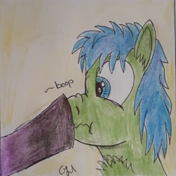 Size: 1024x1024 | Tagged: safe, artist:rapidsnap, derpibooru import, oc, oc only, oc:rapidsnap, boop, chest fluff, nose wrinkle, traditional art