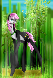 Size: 1082x1581 | Tagged: safe, artist:midfire, oc, oc only, oc:sleepy panda, panda pony, bamboo