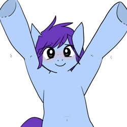 Size: 512x512 | Tagged: safe, artist:beffumsartworks, derpibooru import, oc, oc only, oc:deli, armpits, begging, belly button, blue coat, blushing, colored, cute, emoticon, male, puppy dog eyes, purple mane, simple background, smiling, solo, stallion, standing, transparent background, underhoof, upsies