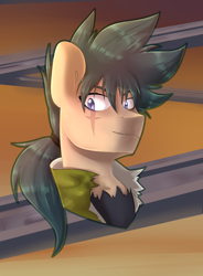 Size: 942x1282 | Tagged: safe, artist:tigra0118, derpibooru import, pony, anime, beyblade, bust, kyouya tategami, kyoya, male, my little pony, ponified, portrait, solo