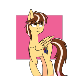 Size: 1000x1000 | Tagged: safe, artist:vickpaints, derpibooru import, oc, oc only, pegasus, pony, male, original character do not steal, simple background, solo, stallion, transparent background